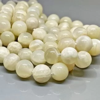 Natural White Moonstone 8mm Smooth Round AA+ Grade Gemstone Beads Strand