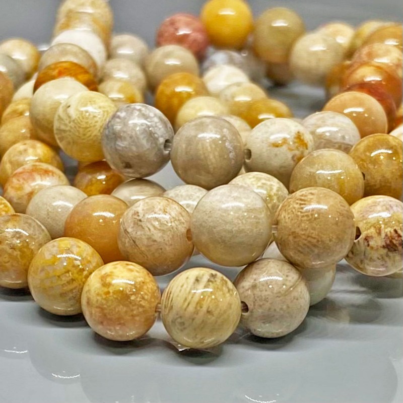 Natural Fossil Coral 8mm Smooth Round AA Grade Gemstone Beads Strand