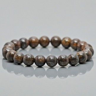 Natural Bronzite 10mm Smooth Round AAA Grade Gemstone Beads Stretch Bracelet
