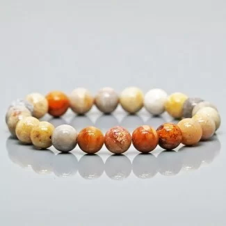 Natural Fossil Coral 8mm Smooth Round AA Grade Gemstone Beads Stretch Bracelet