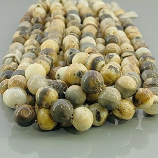 Natural Agate 10-11mm Smooth Round A Grade Gemstone Beads Strand
